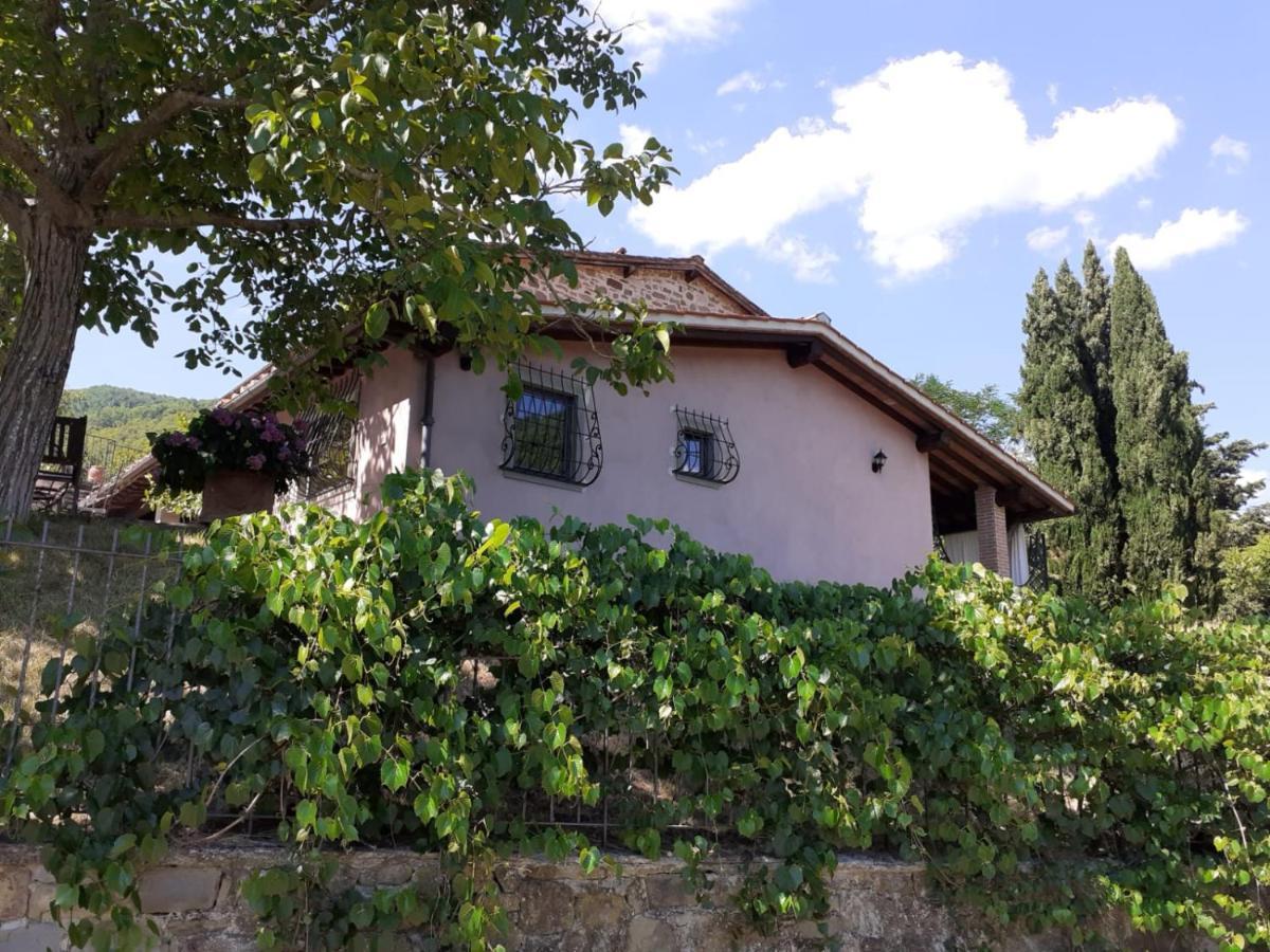 Апартаменты Casina Di Vicchio Dicomano Экстерьер фото