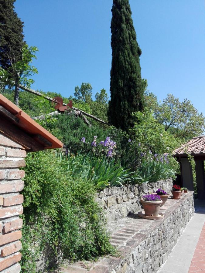 Апартаменты Casina Di Vicchio Dicomano Экстерьер фото