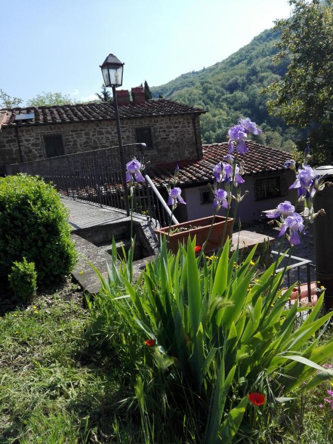 Апартаменты Casina Di Vicchio Dicomano Экстерьер фото